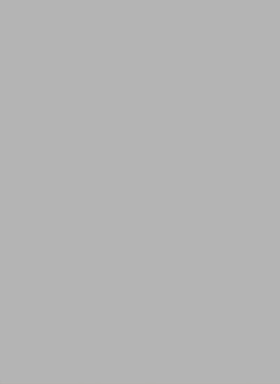 Picture of 0294 Grey