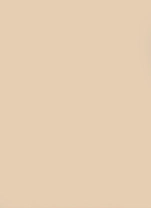 Picture of 0788 Beige