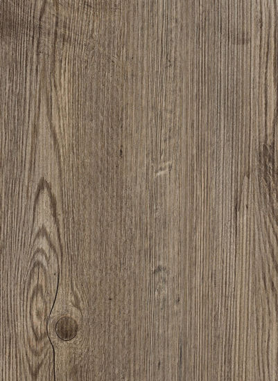 Picture of 7002 Energy Pine Grey