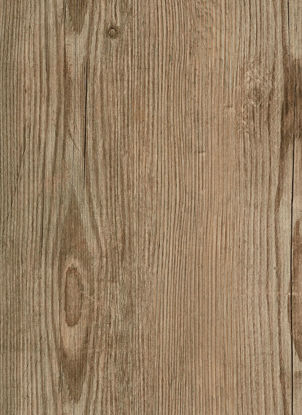 Picture of 7102 Energy Pine Beige