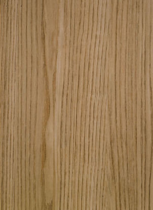 Picture of 9322 Elm Bright