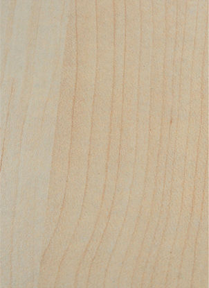 Picture of 0151 Classic Birch