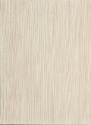 Picture of 3602 Frassino Bianco