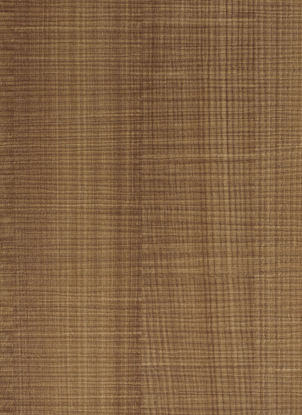 Picture of 3401 Madeira