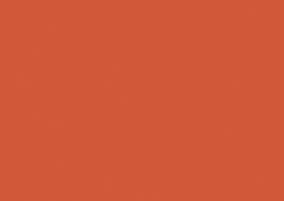 Picture of New Orange 6051
