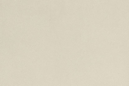 Picture of Welsh beige 7081
