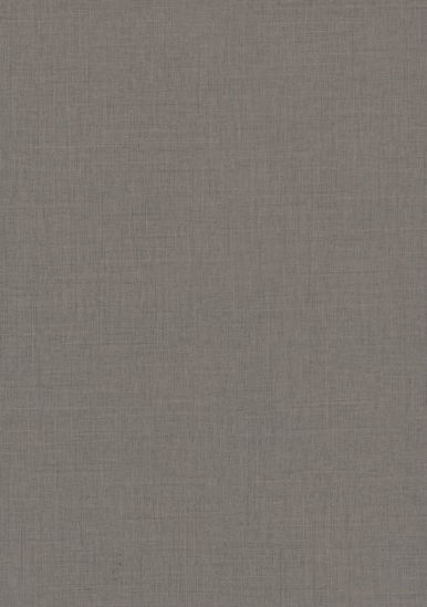 Picture of F433 - ST10 - Anthracite Linen