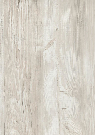 Picture of H1401 - ST22 - Cascina Pine