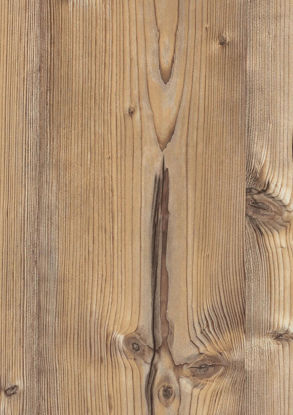 Picture of H1487 - ST22 - Bramberg Pine
