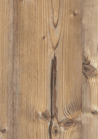 Picture of H1487 - ST22 - Bramberg Pine