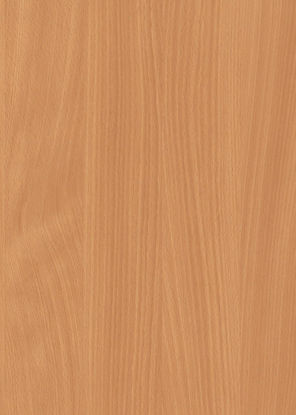 Picture of H1511 - ST15 - Bavarian Beech