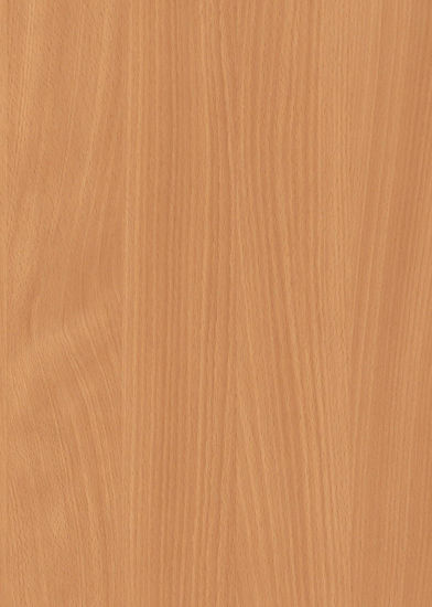 Picture of H1511 - ST15 - Bavarian Beech