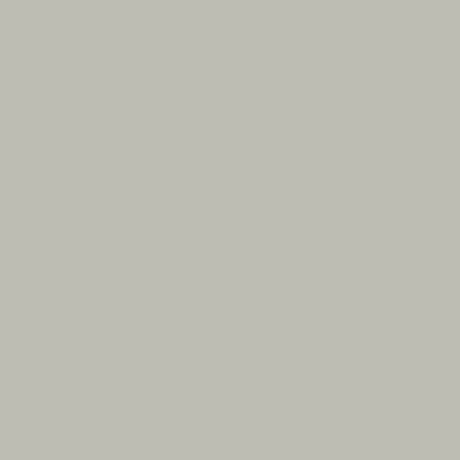 Picture of Light Grey 6037